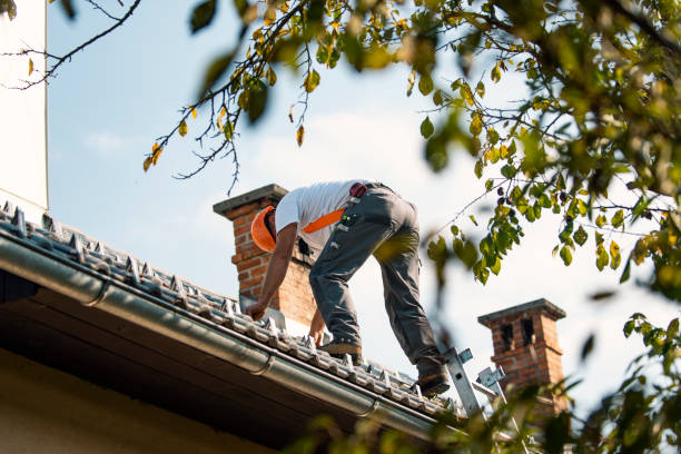 Best Roof Gutter Cleaning  in Westport Village, CT